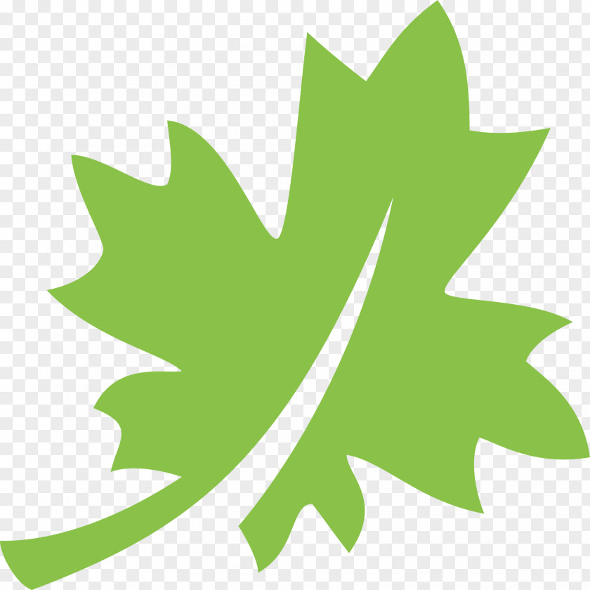 Leaf Canadian Maple Flag Of Canada PNG