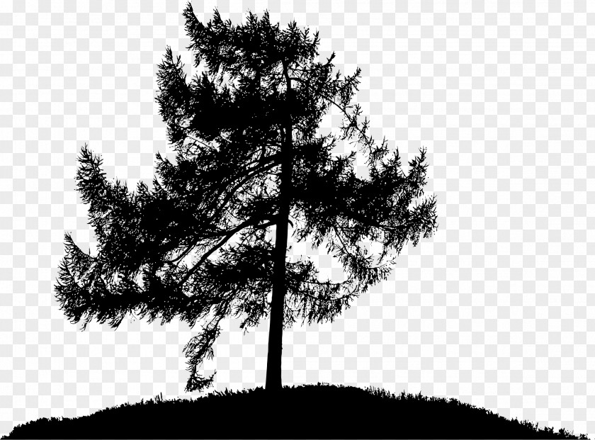 Tree Silhouette Landscape The Lonely Loneliness Clip Art PNG