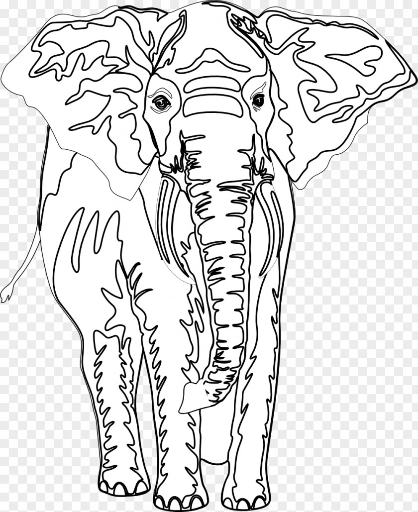 Black Ant Line Art African Elephant Visual Arts Clip PNG