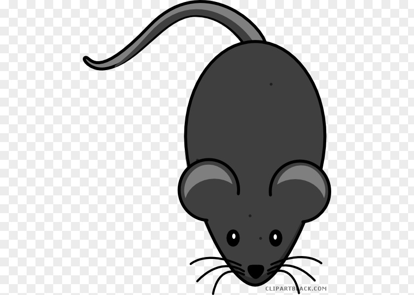 Computer Mouse Clip Art Openclipart Free Content Mickey PNG