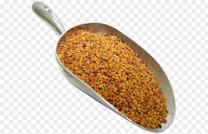 Fenugreek Indian Cuisine Spice Herb Coriander PNG