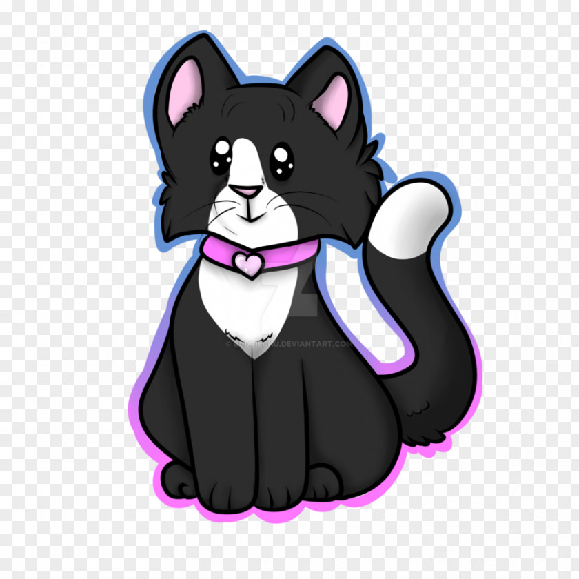 Kitten Whiskers Dog Black Cat PNG