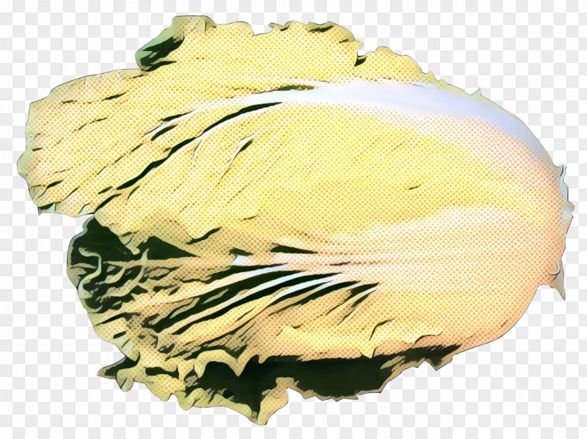 Plant Cabbage Yellow PNG