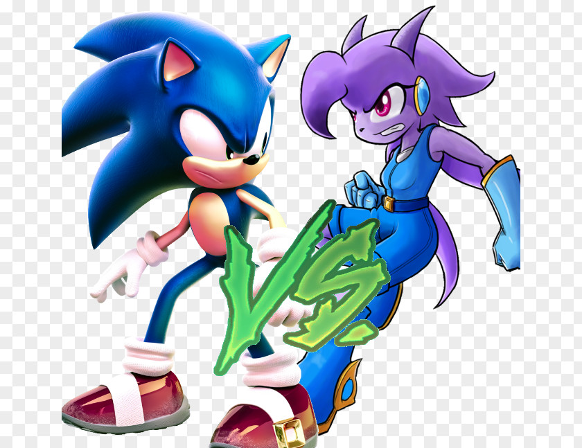 Sash Sonic Dash The Hedgehog Shadow Rouge Bat Universe PNG