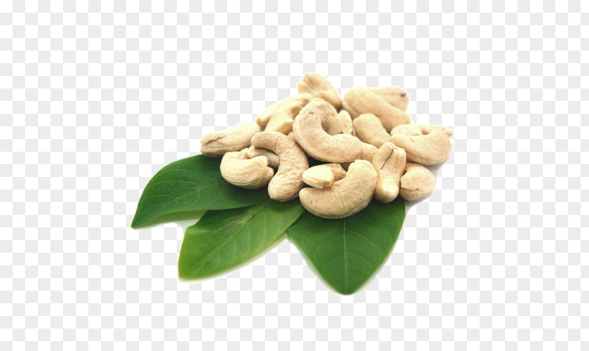 Tree Nut Allergy Cashew Organic Food Butters PNG