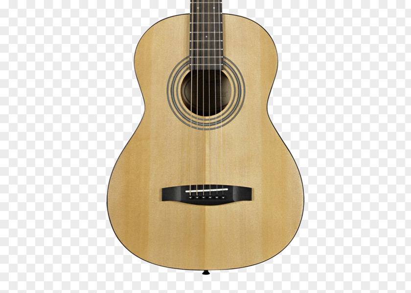 Acoustic Guitar Classical Bass Acoustic-electric PNG