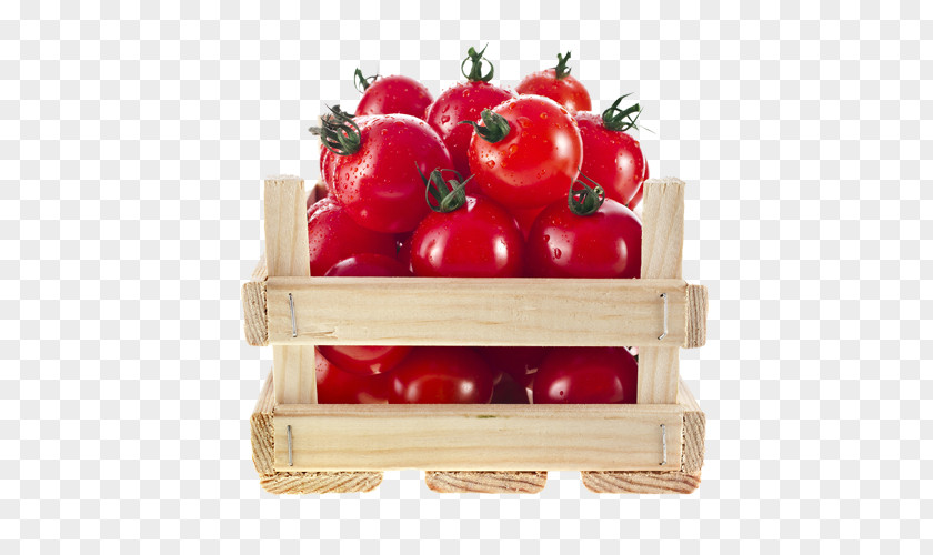 Fresh Little Tomatoes Cherry Tomato Free Fruits Vegetable Auglis PNG