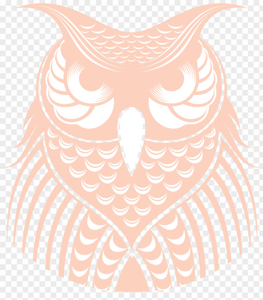 Owl Visual Arts Beak Clip Art PNG