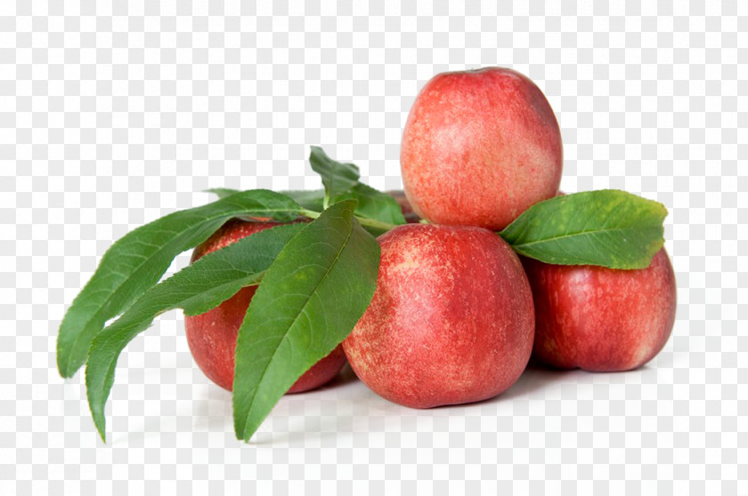 Peach Apple Auglis PNG