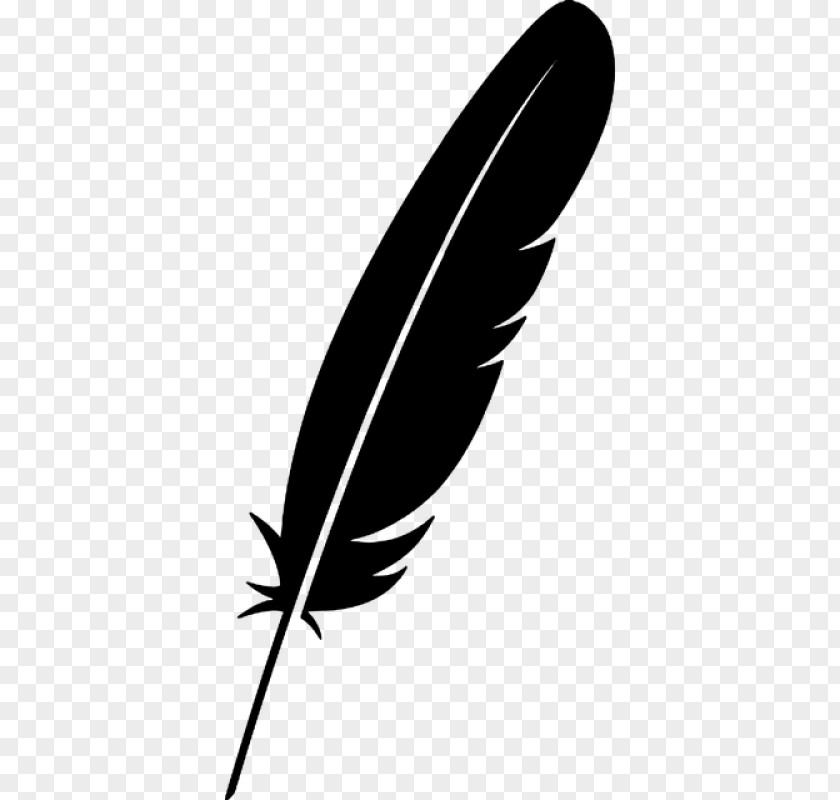 Plant Writing Implement Feather PNG