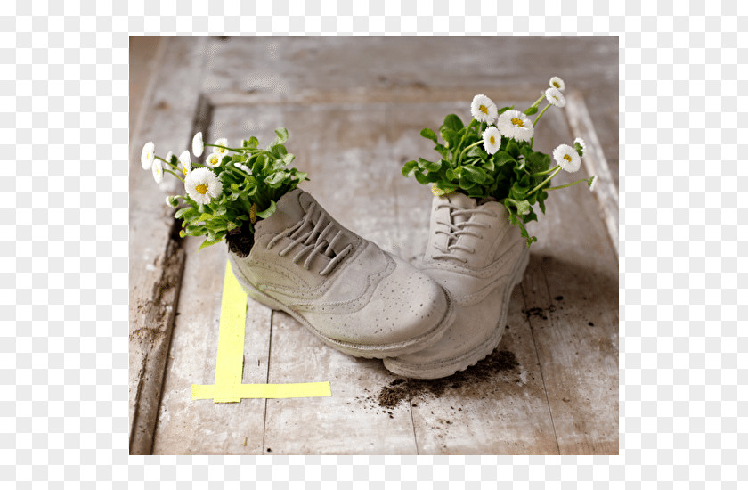 Wooden Garden Trug Brogue Shoe Flower Idea Boot PNG