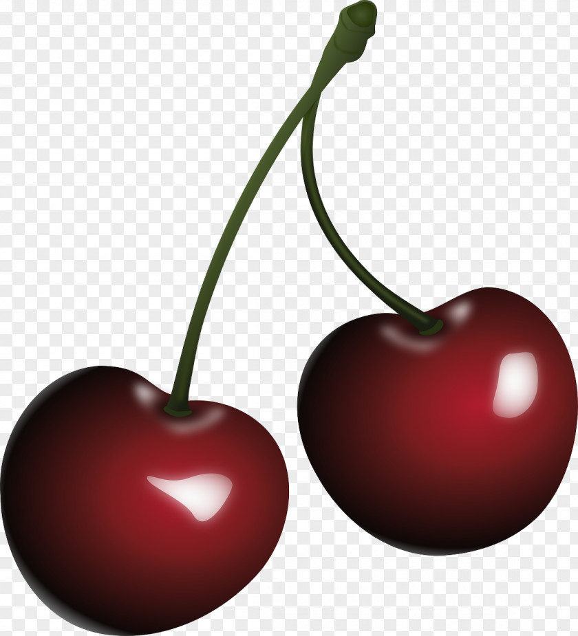 Cherry Clip Art PNG