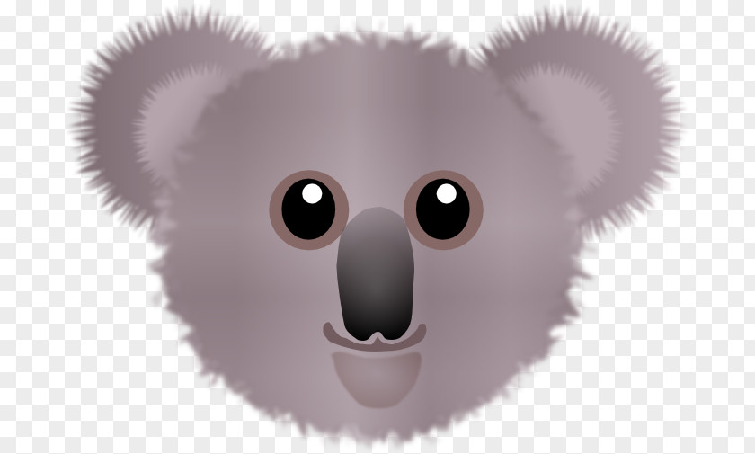 Koala Bear Wombat Clip Art PNG