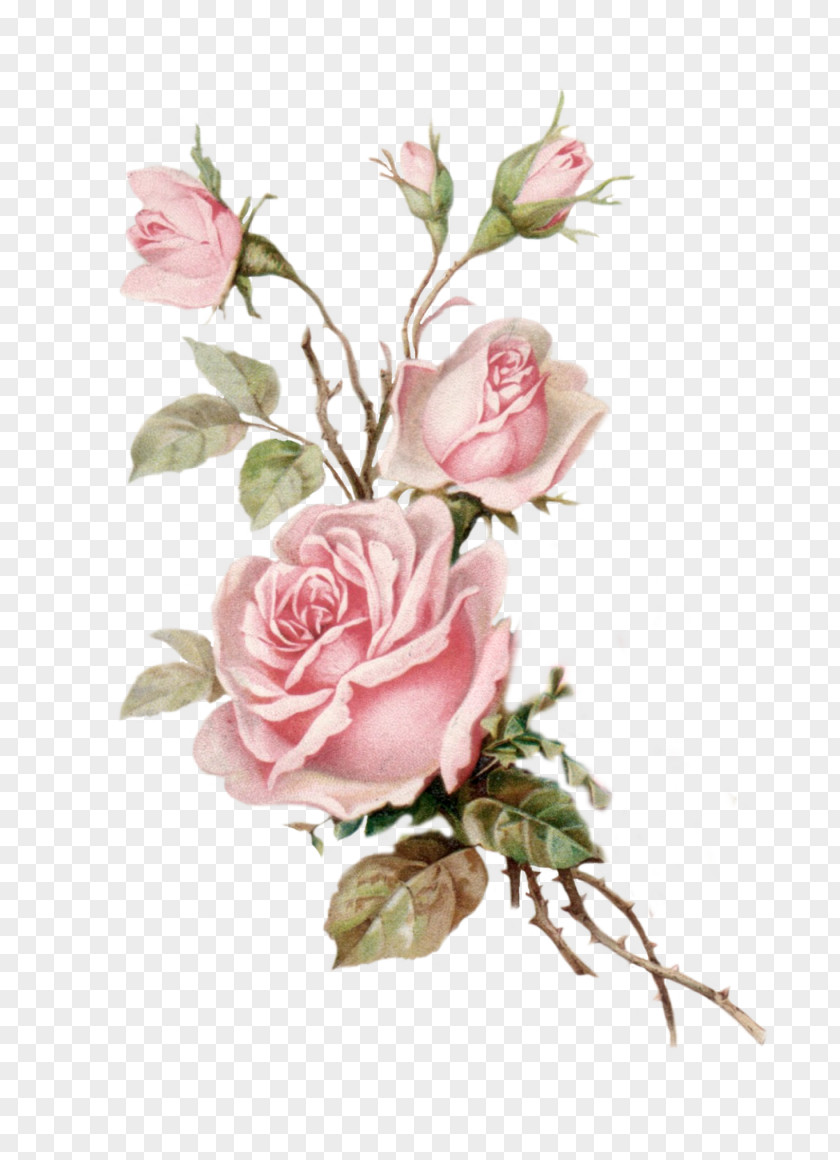 Postcard Flower Bouquet Garden Roses Floral Design PNG