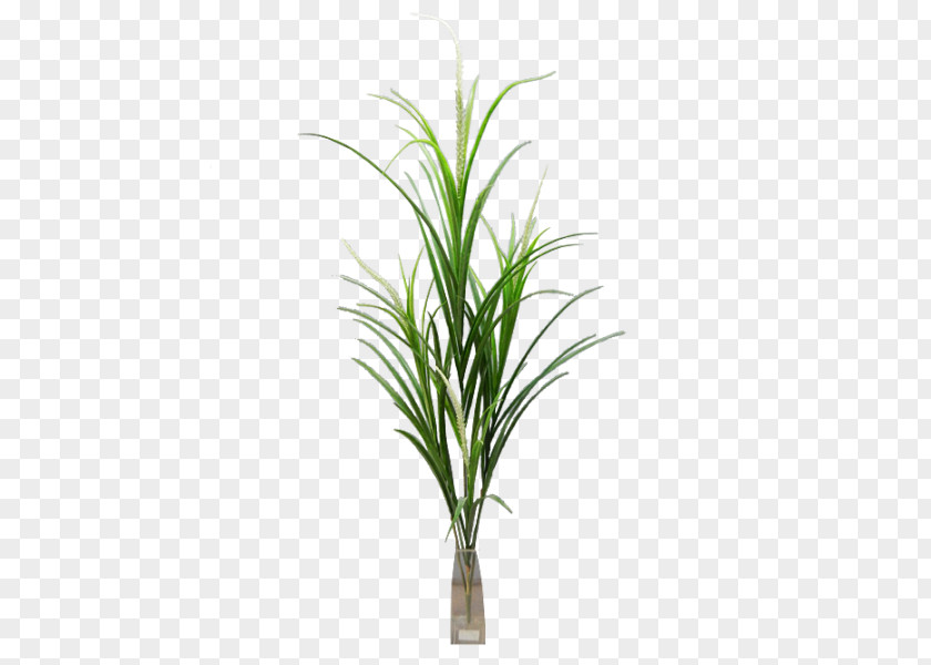 Tree Grasses Artificial Flower Fern Plant Stem PNG