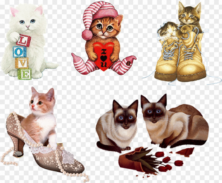 Cat GIF Kitten Clip Art Image PNG