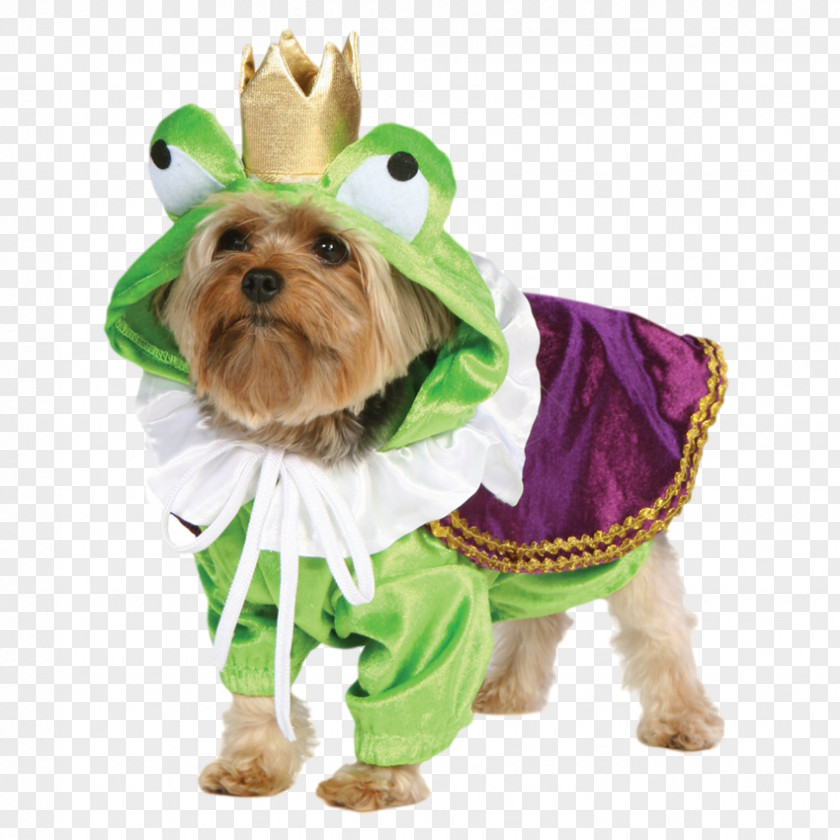Dog Clothes Dress Up Your Puppy Costume PNG