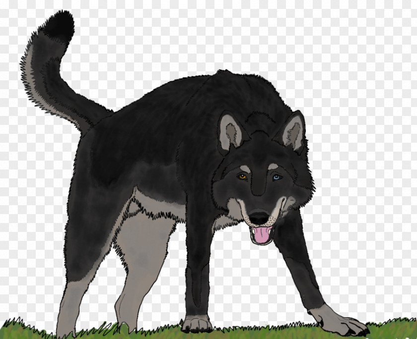 Gunner Norwegian Elkhound Wolfdog Dog Breed Hyena Fur PNG