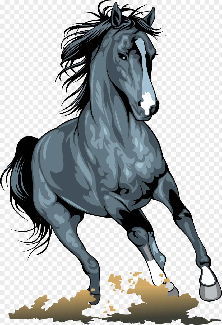 Horse Pony Clip Art PNG