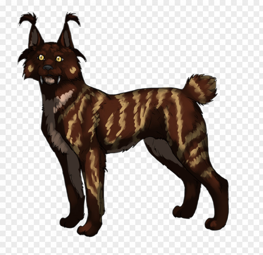 Cat Dog Breed Red Fox Fur PNG