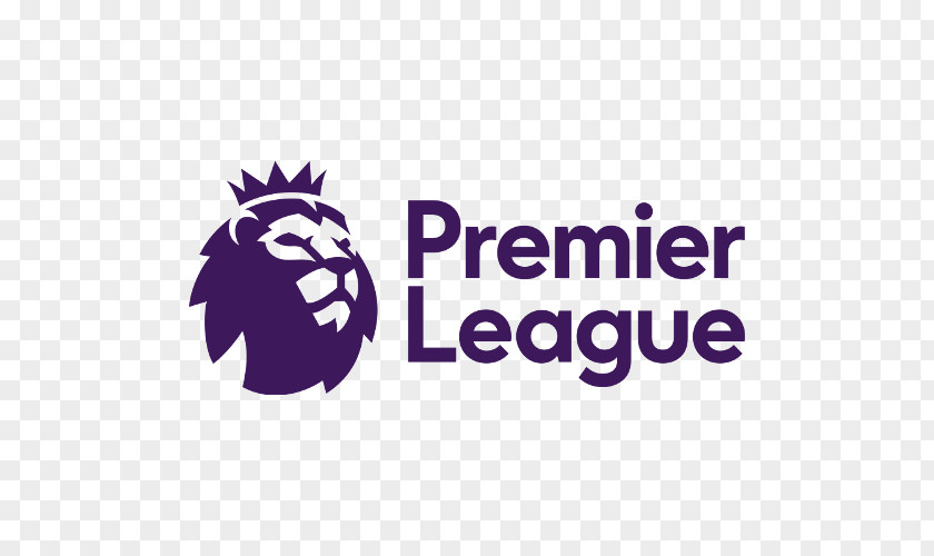 Design 2016–17 Premier League 2017–18 Logo Manchester City F.C. Tottenham Hotspur PNG