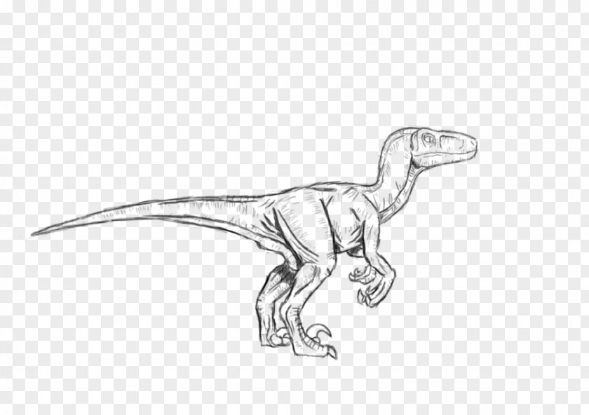 Dinosaur Velociraptor Troodon Tyrannosaurus Dilophosaurus PNG