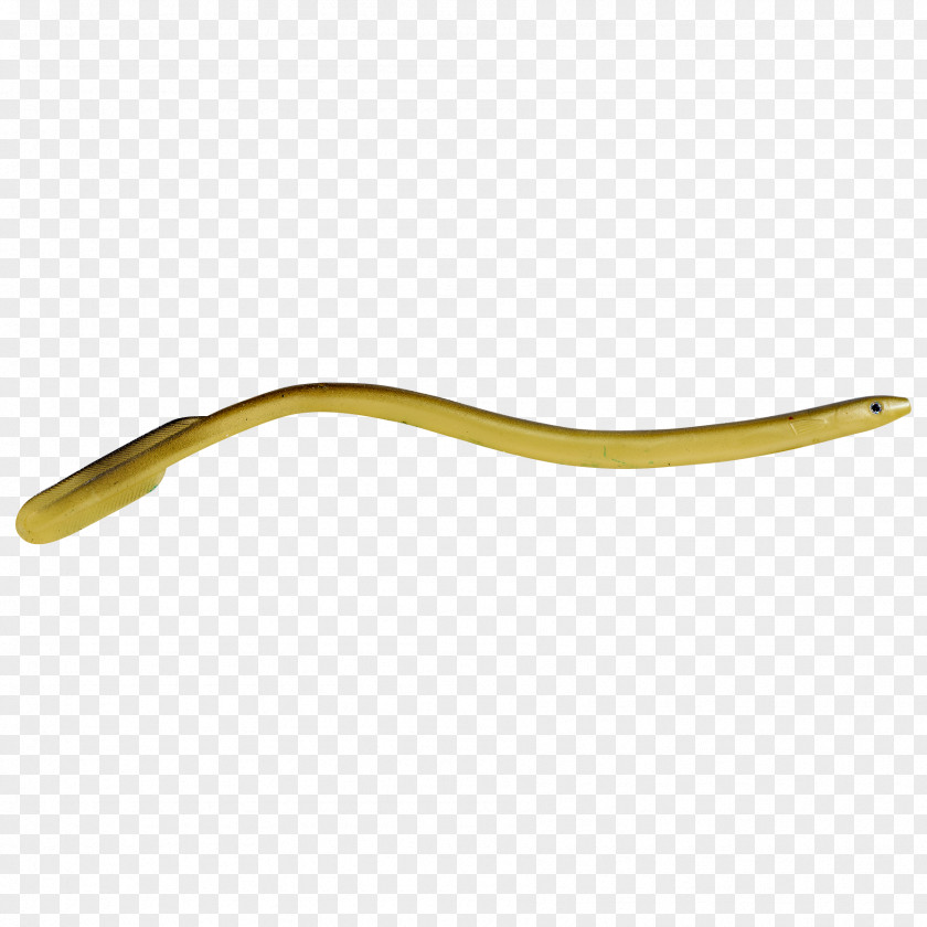 Eel Gummifisch Trout Industrial Design PNG