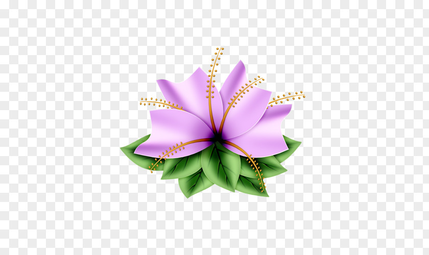 Flower Clip Art Image Blog PNG