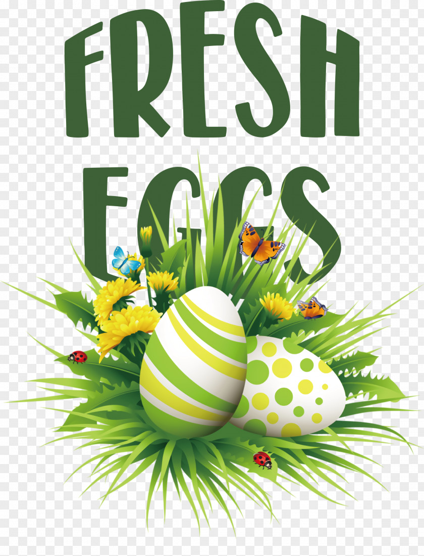 Fresh Eggs PNG