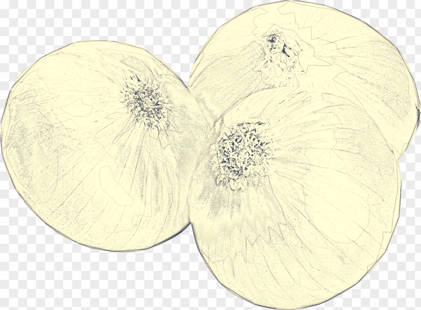 Onion Beige Fruit Tree PNG