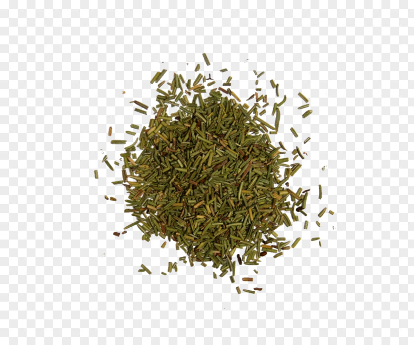 Rosemary Seasoning Herb Liquorice PNG