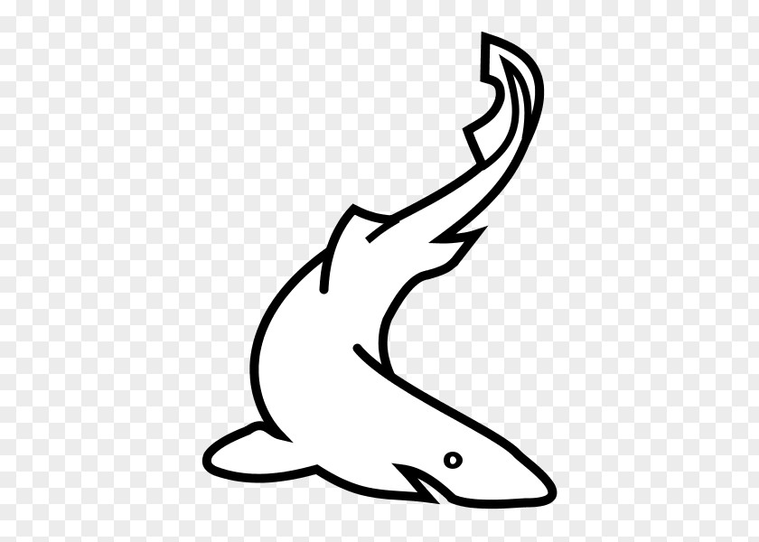 Shark Line Art White Mammal Clip PNG