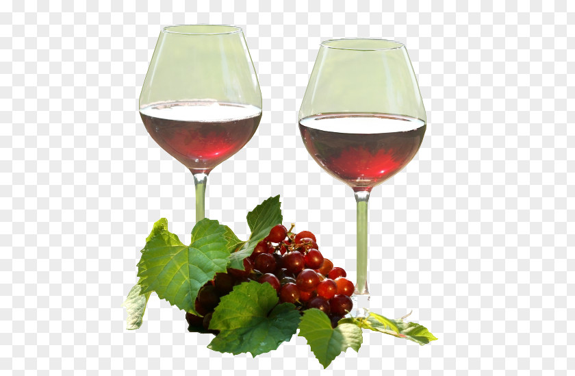 Wine Glass Red The Complete Guide For Beginners Cocktail PNG