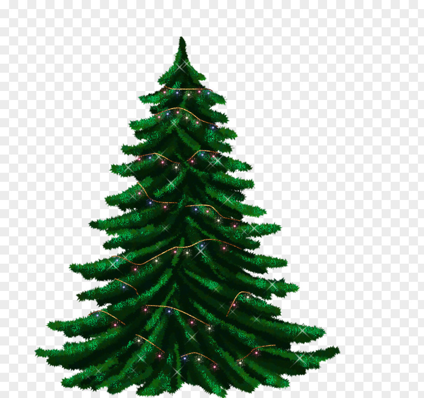 Christmas Tree Fir Guirlande De Noël Garland PNG