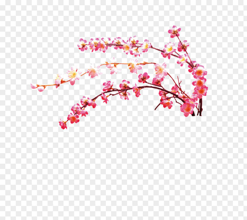 Flower Image Download Design PNG