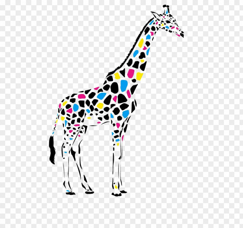Giraffe Leopard Color Cdr PNG