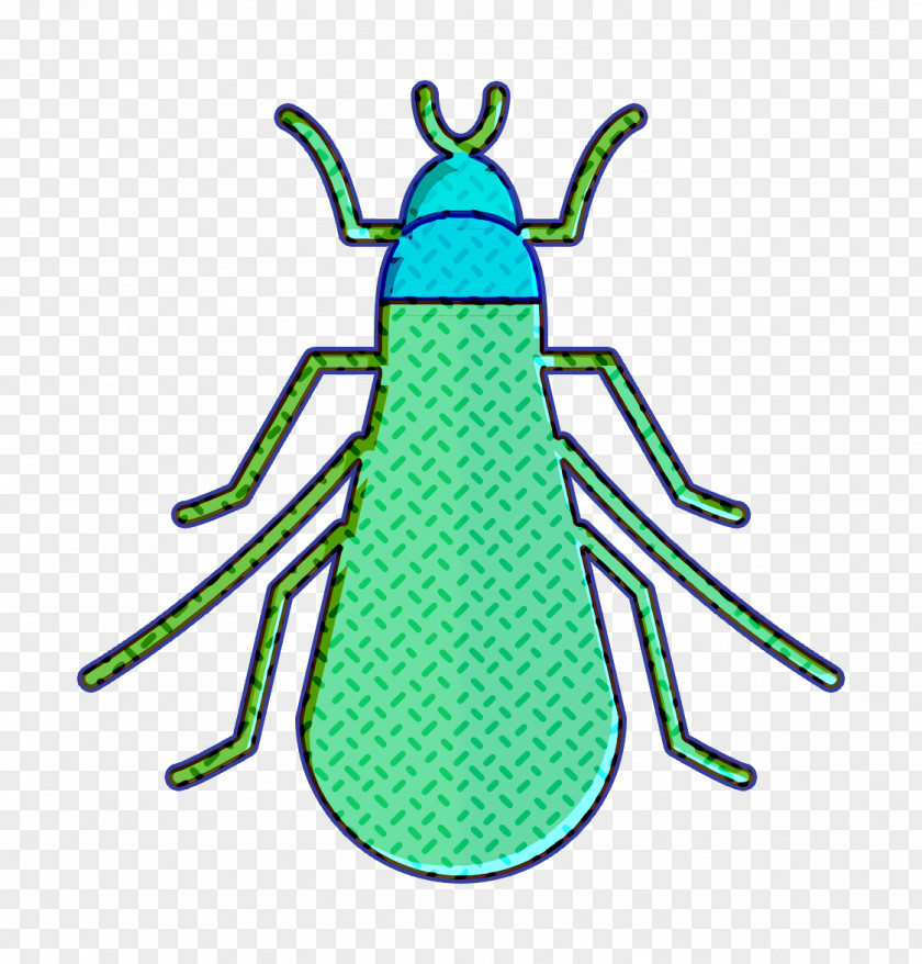 Insects Icon Cricket Tree PNG