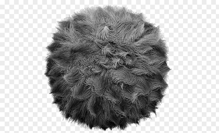 ZBrush Digital Sculpting Fur 3D Computer Graphics PNG