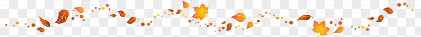 Autumn Road Desktop Wallpaper Font Line Computer Grasses PNG