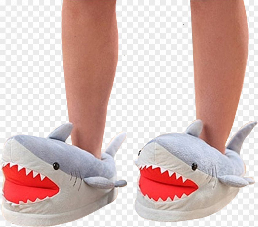 BABY SHARK Slipper Shark Stuffed Animals & Cuddly Toys Plush PNG