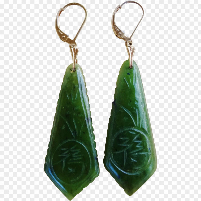 Beautify Jade Earring PNG