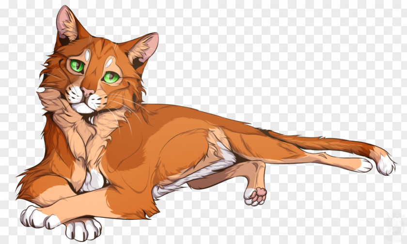 Cat Whiskers Firestar's Quest Warriors PNG