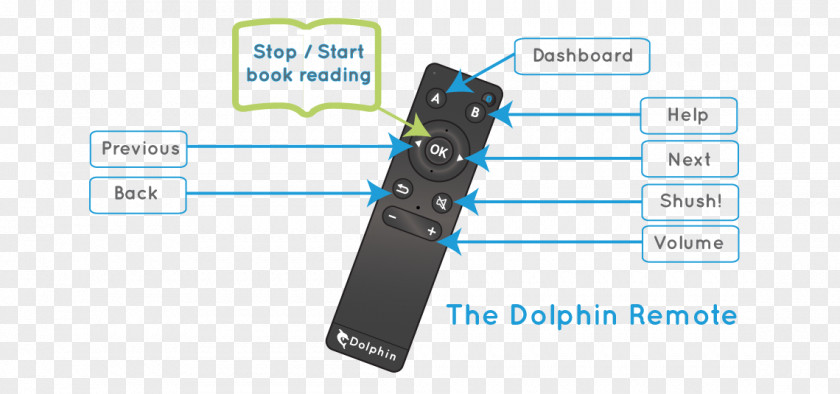 Dolphin Vision Impairment Low Visual Perception Reading PNG