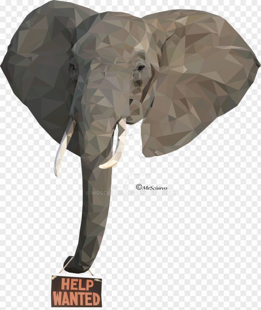 Elephant Tusk Indian African Pug Elephantidae Redbubble PNG