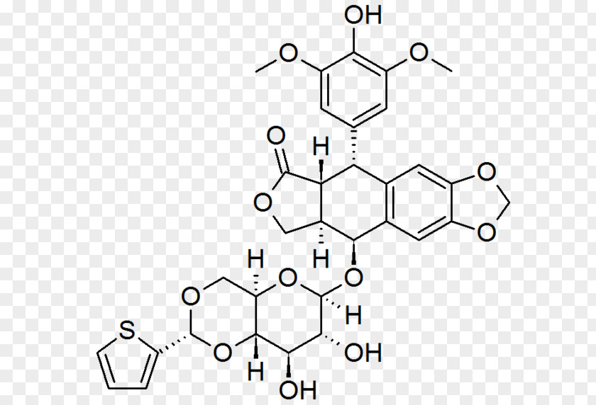 Heterocyclic Compound Teniposide Organic Chemistry Antineoplastic Pharmaceutical Drug PNG