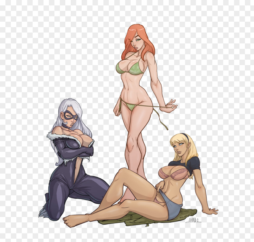 Mary Jane Watson Felicia Hardy Gwen Stacy Spider-Man Spider-Woman PNG