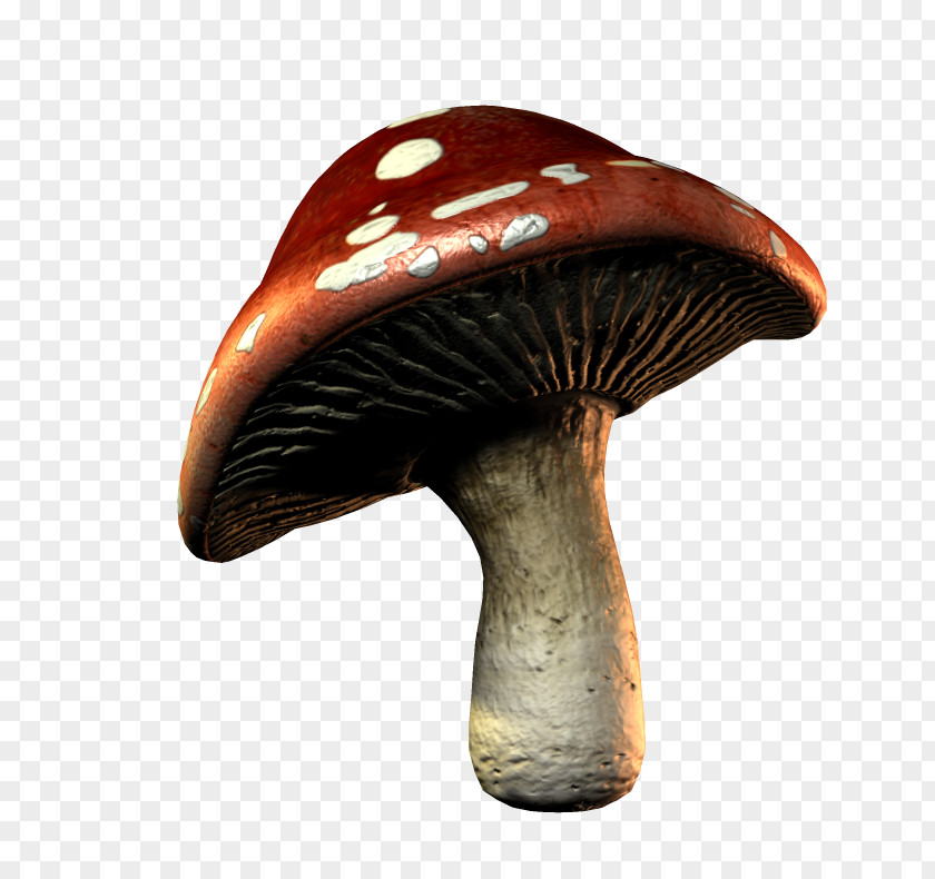 Mushroom Pattern Download Clip Art PNG