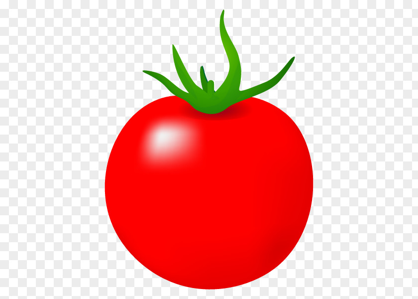 Plum Tomato Bush Vegetable Illustration PNG