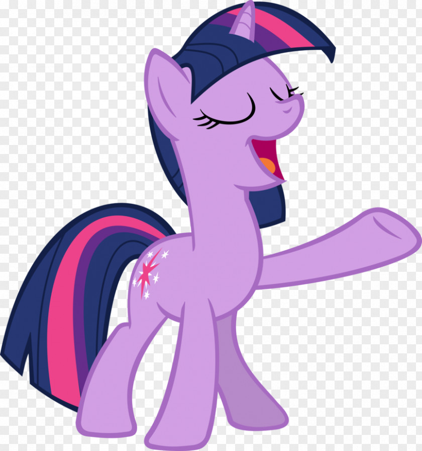 Twilight Sparkle Sunset Shimmer Pony Pinkie Pie Rainbow Dash PNG