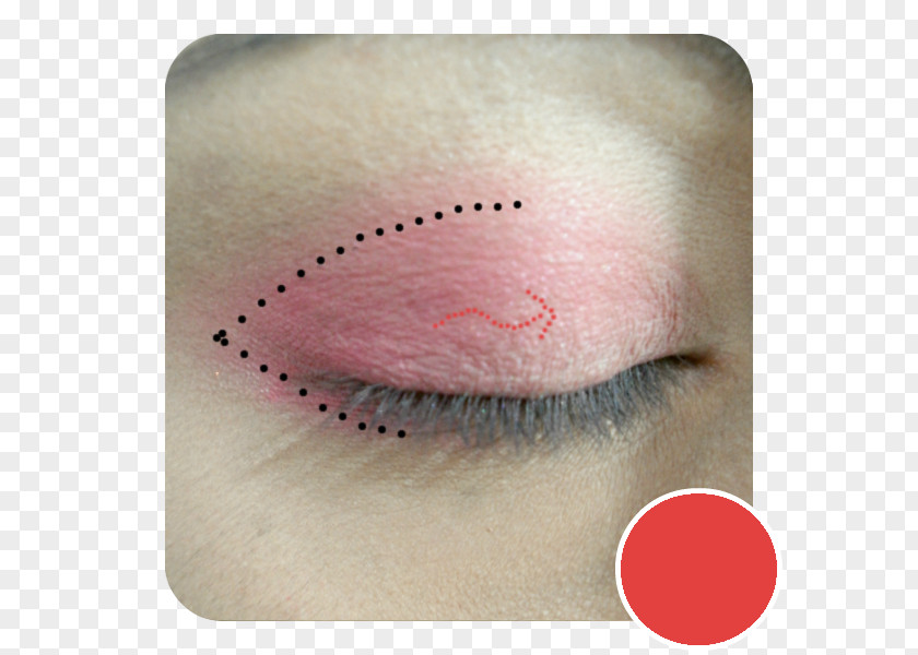 V Jugularis Externa Eyelash Extensions Close-up Artificial Hair Integrations PNG